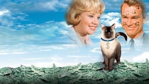 ไอ้แต้มทีเด็ด (1965) That Darn Cat!