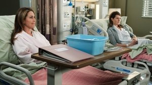 Grey’s Anatomy 8 x Episodio 12