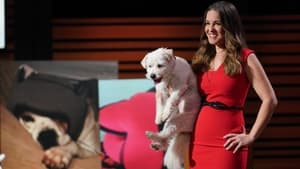 Shark Tank Season 13 Episode 17