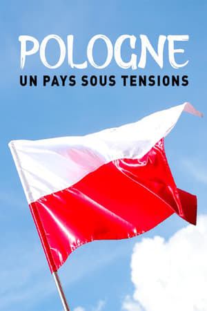 Image Pologne un pays sous tensions