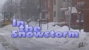 In the Snowstorm