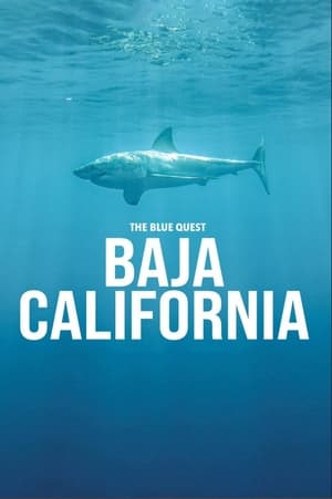 The Blue Quest Baja California