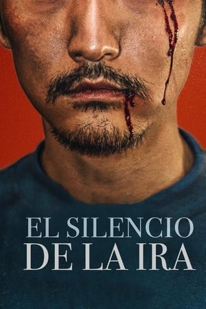Poster El silencio de la ira 2017
