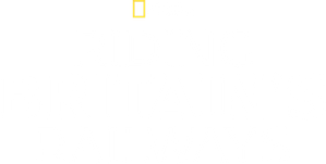 Riding Britain's Railways