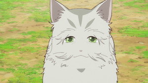 The Cat and the Dragon: Episode 11