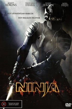 Poster Nindzsa 2009