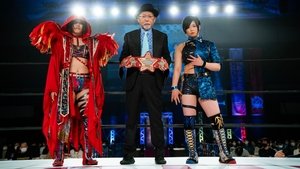 Stardom on Stardom World: 12×9
