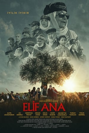 Poster Mother Elif 2022