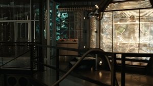 Ant-Man and the Wasp (2018)