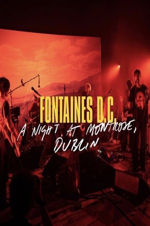 Poster Fontaines D.C. - A Night at Montrose, Dublin 2020