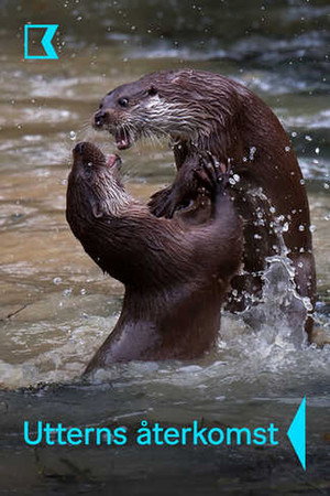 De Terugkeer van de Otter (2026)