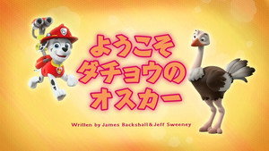 ようこそ ダチョウのオスカー