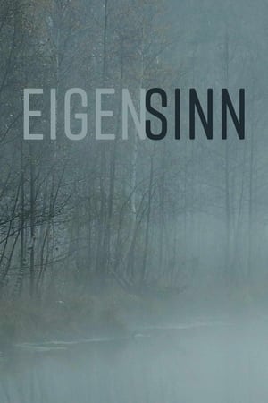 Image Eigensinn