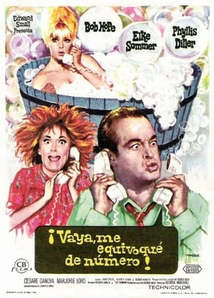 Poster Vaya, me equivoqué de número 1966