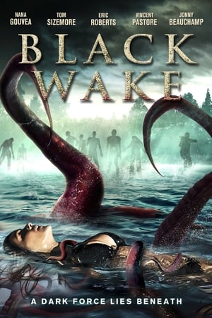 Poster Black Wake 2018