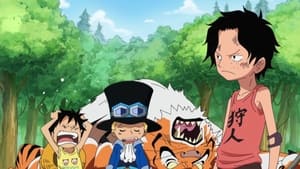 One Piece: Season 13 Episode 499