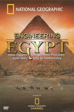 Poster Engineering Egypt (2007)