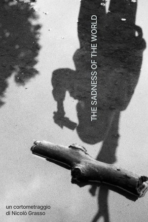 The Sadness of the World poster
