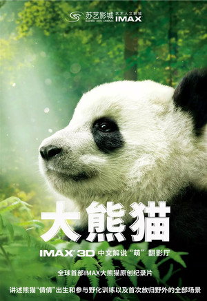 Pandas 12