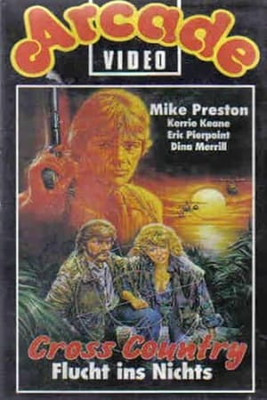 Poster Hot Pursuit (1984)