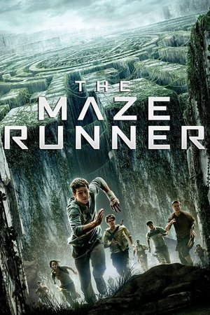 poster The Maze Runner