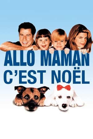 Poster Allô maman, c'est Noël 1993