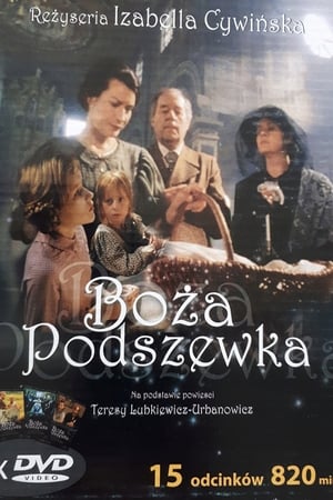 Boża podszewka poster