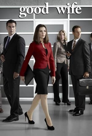 Poster The Good Wife Staffel 7 An der Grenze 2016