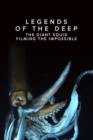 Legends of the Deep: The Giant Squid 2013