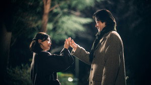 All the Lovers in the Night