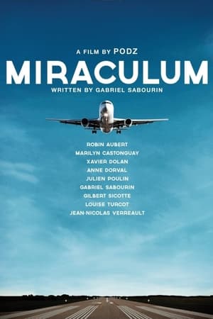 Poster Miraculum 2014