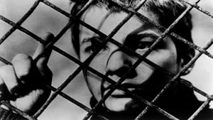 Les quatre cents coups