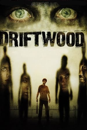 Poster Driftwood 2006