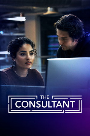 The Consultant 33