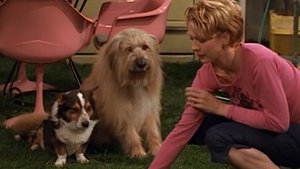 Dharma & Greg: 1×21