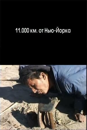 11.000 км. от Нью-Йорка