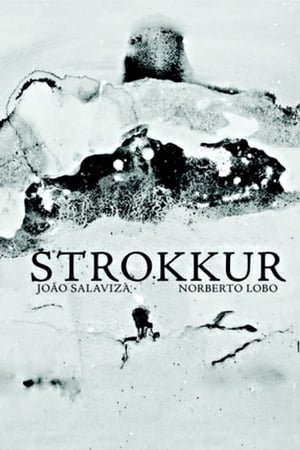 Poster Strokkur 2011