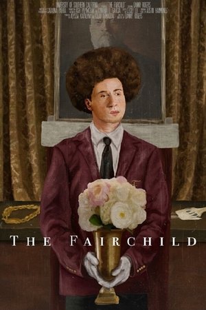 Image The Fairchild