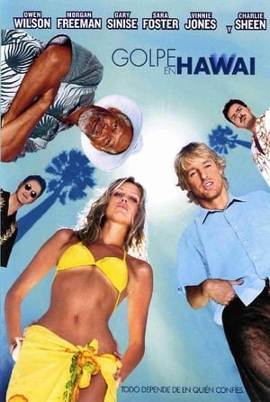 Poster Golpe en Hawai 2004