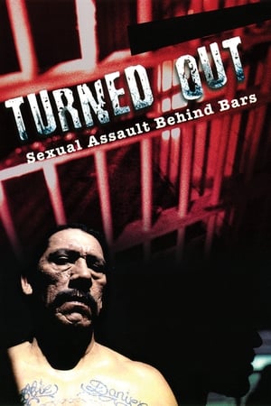 Poster Turned Out: Sexual Assault Behind Bars (2004)