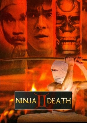 Poster Ninja Death 2 1987