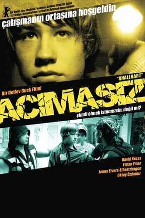 Poster Acımasız 2006