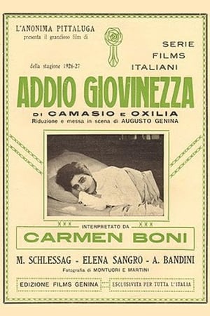 Addio giovinezza! poster