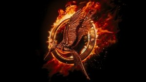 The Hunger Games: Catching Fire (2013)