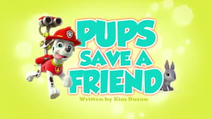 PAW Patrol Pups Save a Friend
