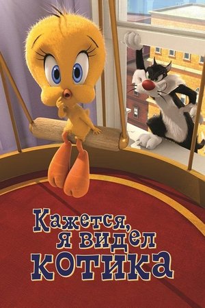 Image Кажется, Я Видел Котика