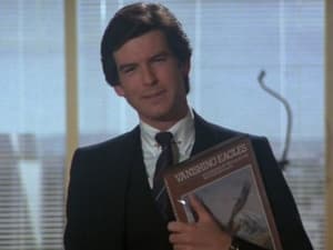 Remington Steele Steele Flying High