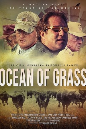 Nonton film Ocean of Grass: Life on a Nebraska Sandhills Ranch (2018) terbaru sub indo Nonton film Ocean of Grass: Life on a Nebraska Sandhills Ranch (2018) terbaru sub indo