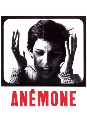 Anémone poster