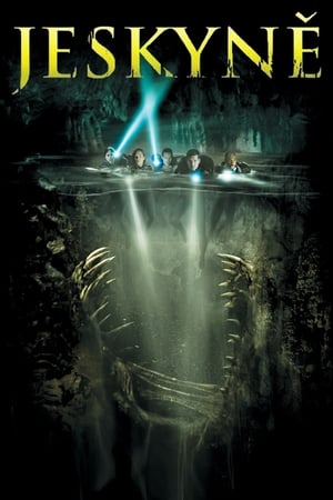 Poster Jeskyně 2005